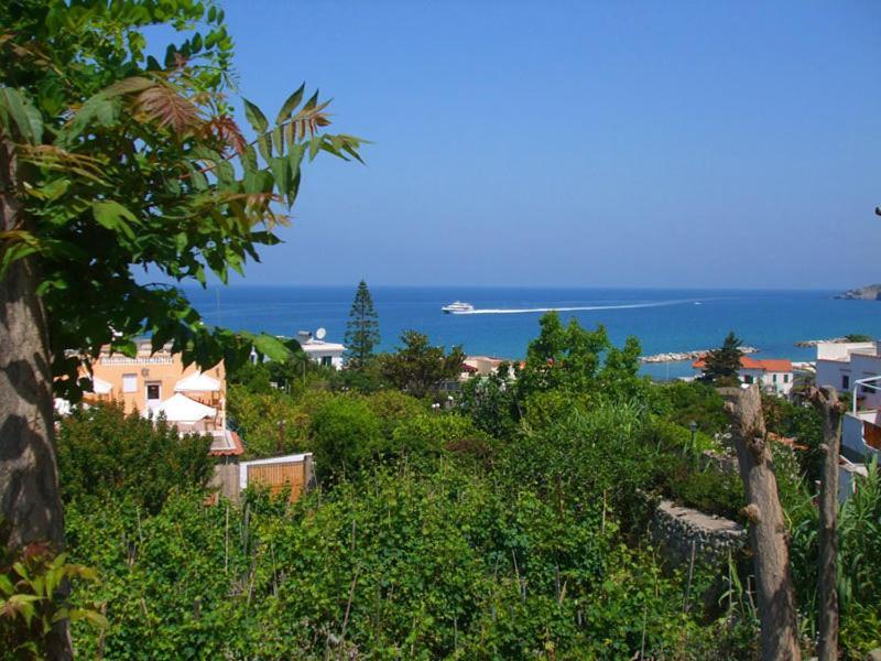 Albergo Villa Hibiscus Forio di Ischia Extérieur photo